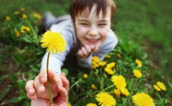 Child holding a dandelion in a field