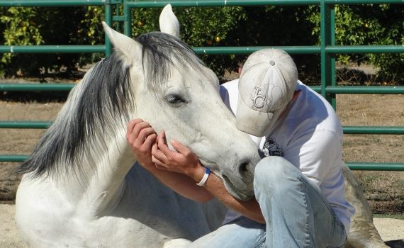 Man with horse