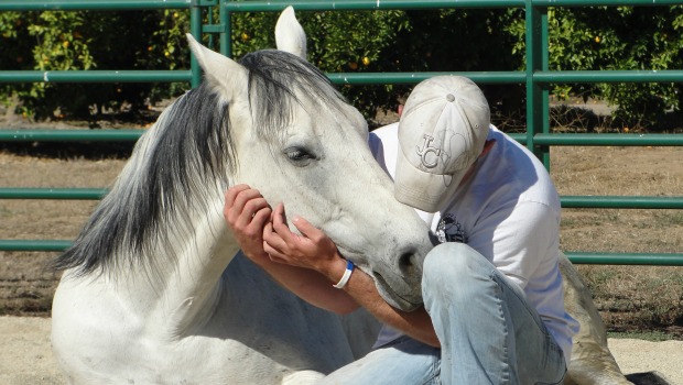 Man with horse