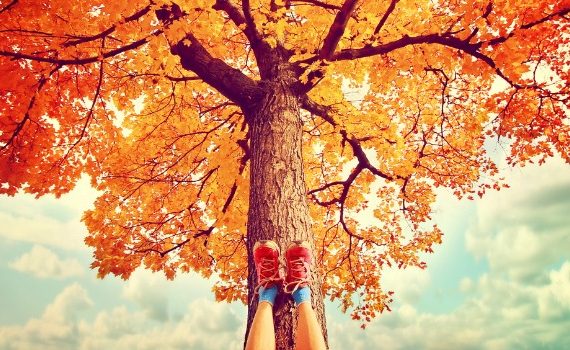 Person resting against beautiful tree