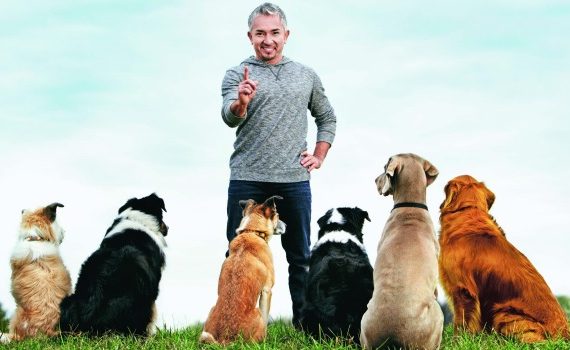 Dog Whisperer Cesar Millan