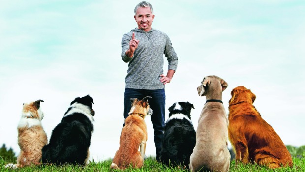 Dog Whisperer Cesar Millan