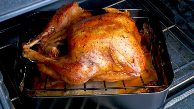 Turkey in a roasting pan