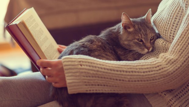 Woman with cat on her lap reading a book.