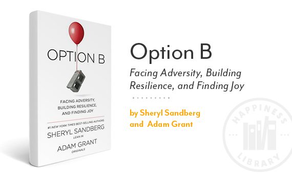 Book cover: Option B