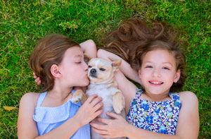 Two kids with a puppy on the grass