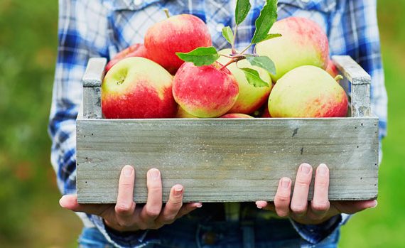 Woman holding a crate of apples.