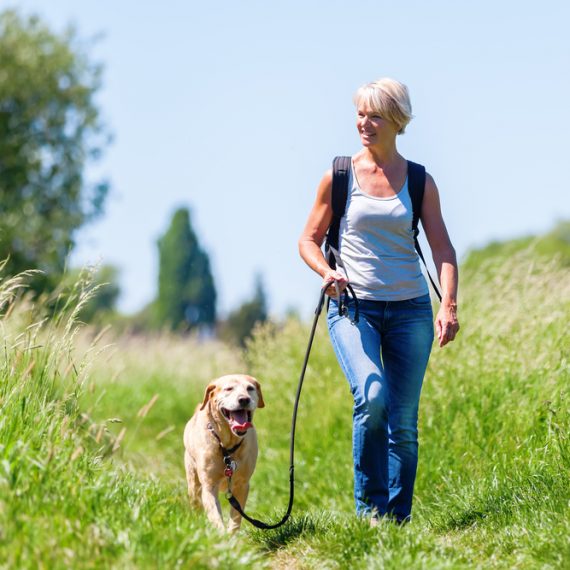 mature woman with rucksack hiking with a dog in the summer landscape