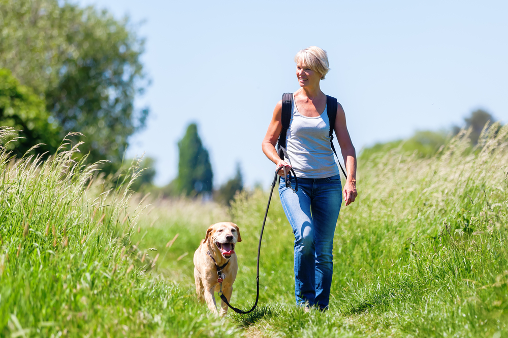 mature woman with rucksack hiking with a dog in the summer landscape