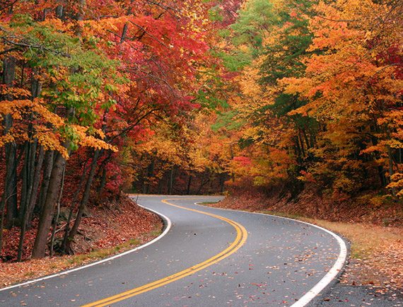 Fall color on curvy road over Fort Mountain in Northwest Georgia.