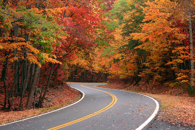 Fall color on curvy road over Fort Mountain in Northwest Georgia.