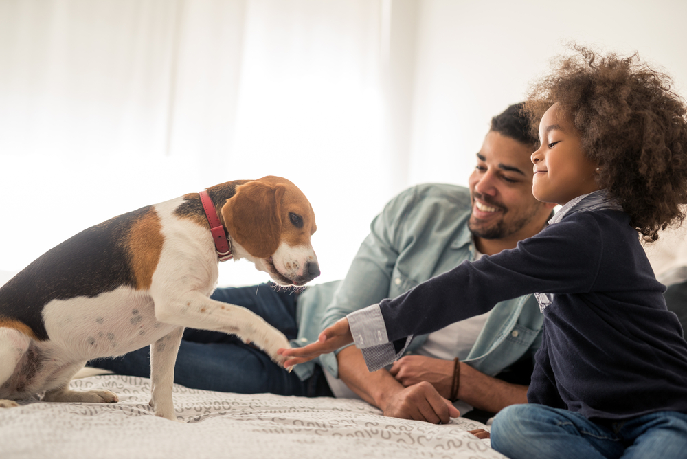 father and daughter enjoying spending time with dog in the bed.